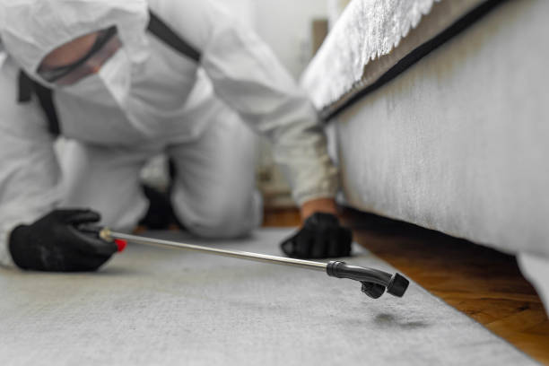 Professional Cockroach Control technician working in Key Vista, FL