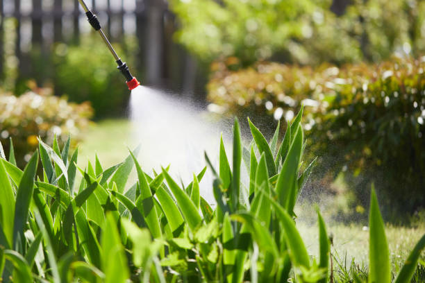 24/7 Emergency Cockroach Control experts in Key Vista, FL