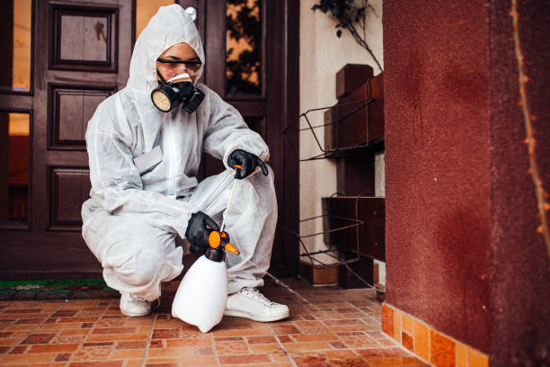 Reliable Cockroach Control contractor in Key Vista, FL by Nex Pest Control